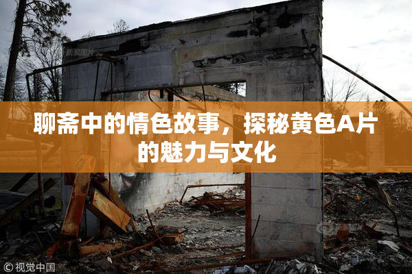 聊斋中的情色故事，探秘黄色A片的魅力与文化