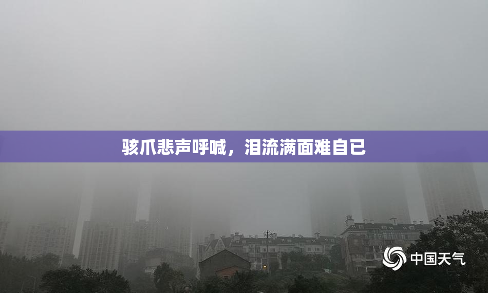 骇爪悲声呼喊，泪流满面难自已