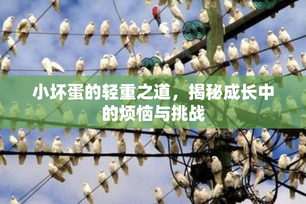 小坏蛋的轻重之道，揭秘成长中的烦恼与挑战