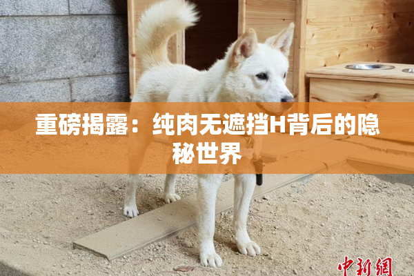 重磅揭露：纯肉无遮挡H背后的隐秘世界