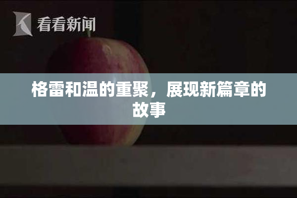 格雷和温的重聚，展现新篇章的故事