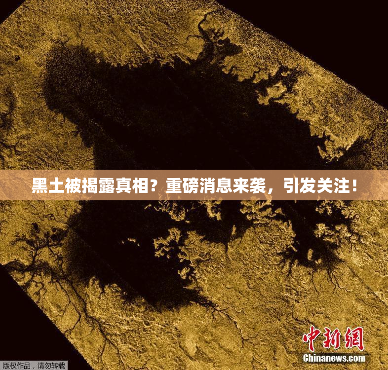 黑土被揭露真相？重磅消息来袭，引发关注！