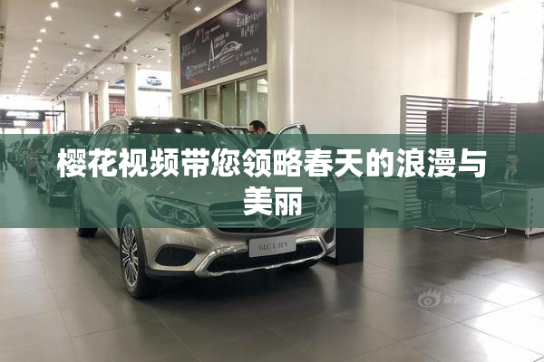 樱花视频带您领略春天的浪漫与美丽