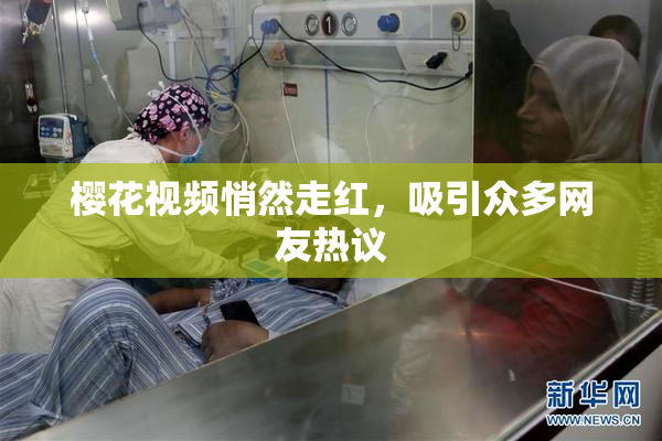 樱花视频悄然走红，吸引众多网友热议