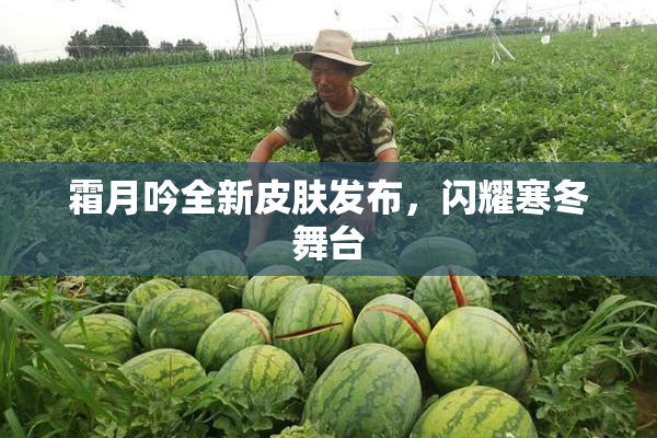 霜月吟全新皮肤发布，闪耀寒冬舞台