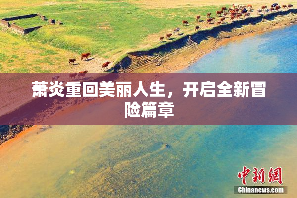 萧炎重回美丽人生，开启全新冒险篇章