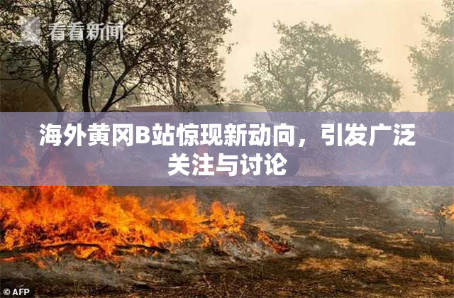海外黄冈B站惊现新动向，引发广泛关注与讨论