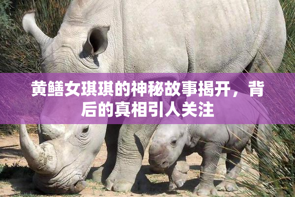 黄鳝女琪琪的神秘故事揭开，背后的真相引人关注