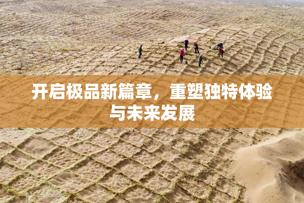 开启极品新篇章，重塑独特体验与未来发展