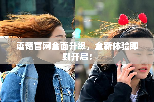 蘑菇官网全面升级，全新体验即刻开启！