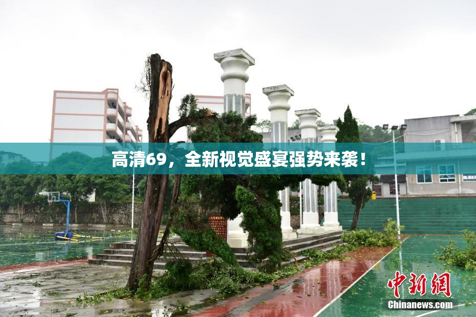 高清69，全新视觉盛宴强势来袭！