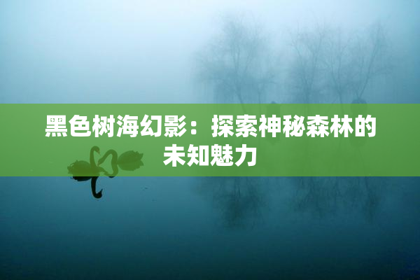 黑色树海幻影：探索神秘森林的未知魅力