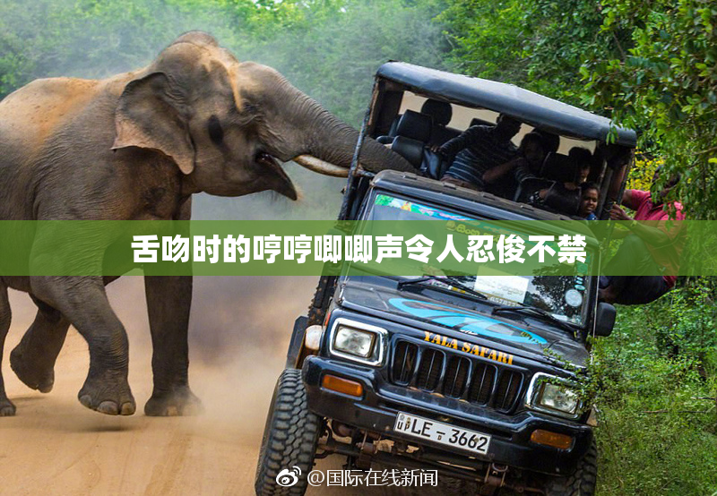 舌吻时的哼哼唧唧声令人忍俊不禁