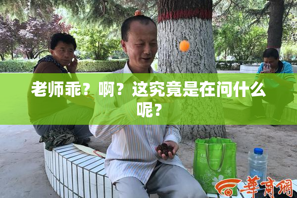 老师乖？啊？这究竟是在问什么呢？