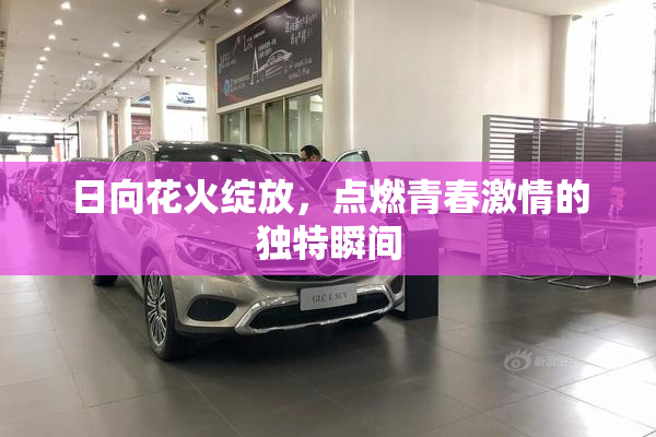 日向花火绽放，点燃青春激情的独特瞬间