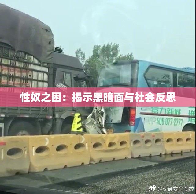性奴之困：揭示黑暗面与社会反思