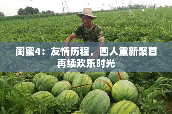 闺蜜4：友情历程，四人重新聚首再续欢乐时光