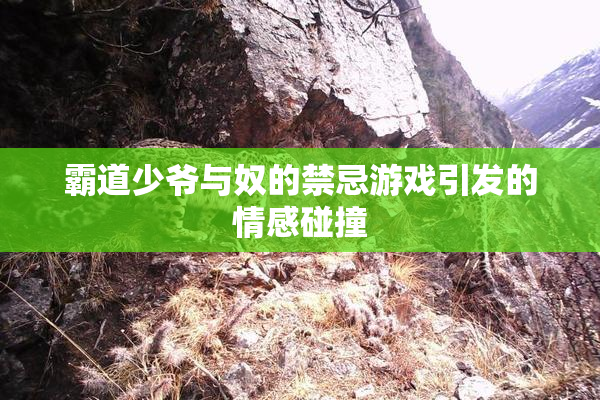 霸道少爷与奴的禁忌游戏引发的情感碰撞