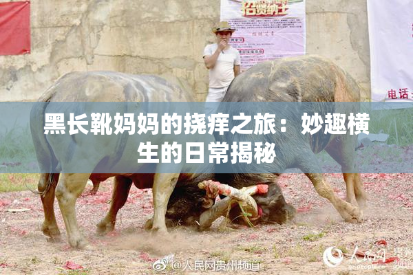 黑长靴妈妈的挠痒之旅：妙趣横生的日常揭秘