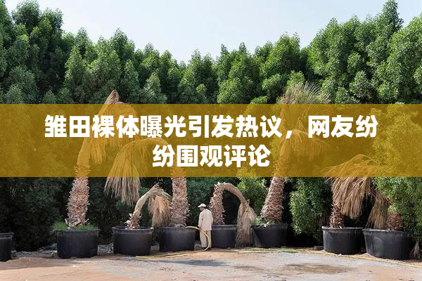 雏田裸体曝光引发热议，网友纷纷围观评论