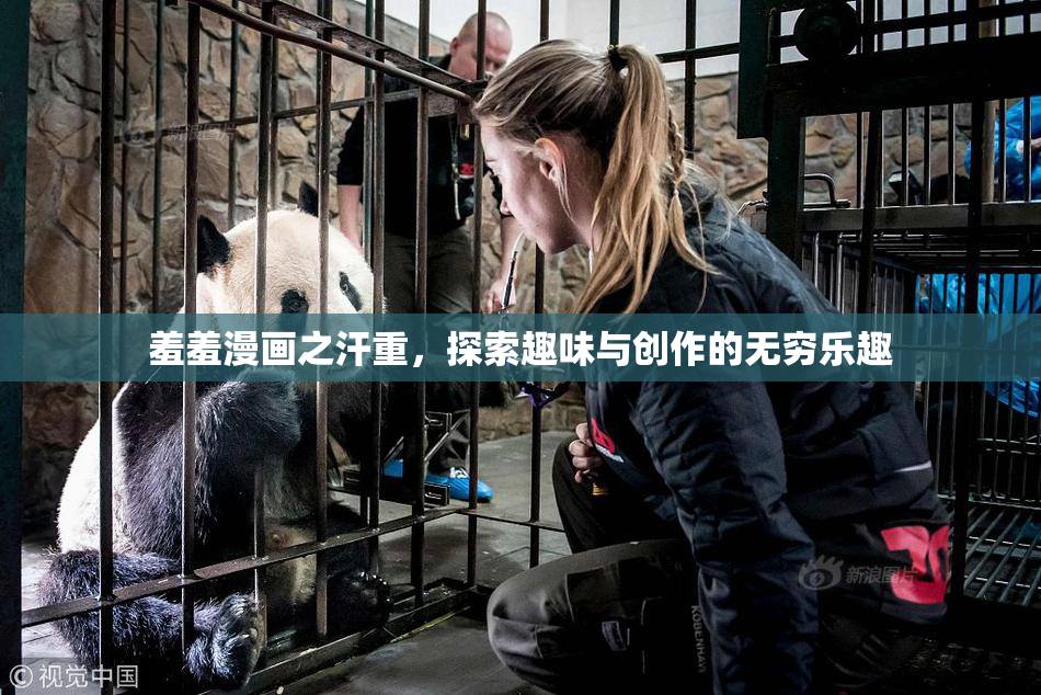 羞羞漫画之汗重，探索趣味与创作的无穷乐趣