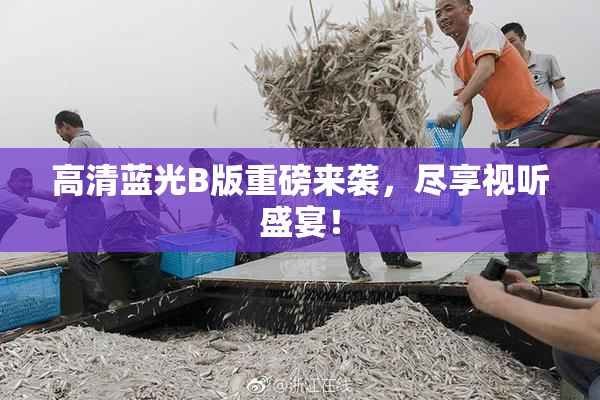 高清蓝光B版重磅来袭，尽享视听盛宴！