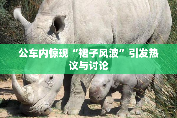 公车内惊现“裙子风波”引发热议与讨论