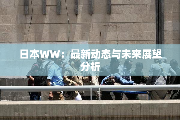 日本WW：最新动态与未来展望分析