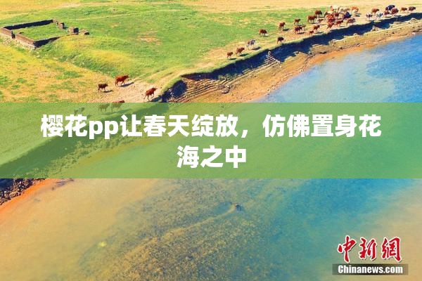 樱花pp让春天绽放，仿佛置身花海之中
