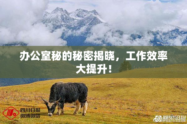 办公室秘的秘密揭晓，工作效率大提升！