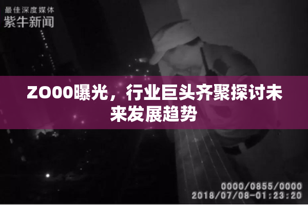 ZO00曝光，行业巨头齐聚探讨未来发展趋势