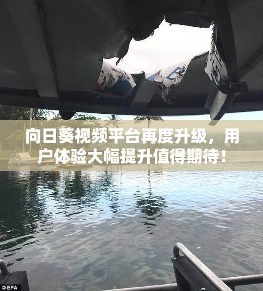 向日葵视频平台再度升级，用户体验大幅提升值得期待！