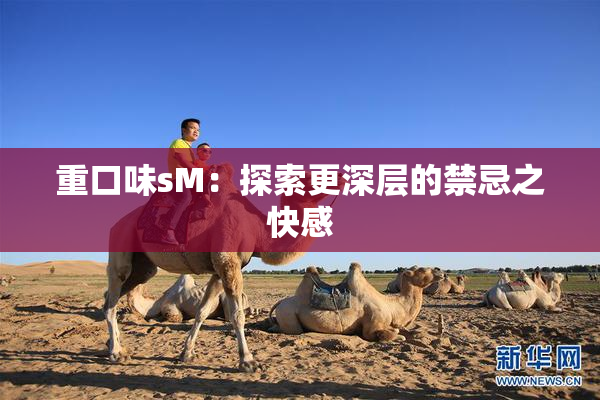 重口味sM：探索更深层的禁忌之快感