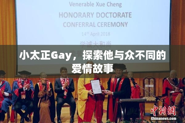 小太正Gay，探索他与众不同的爱情故事
