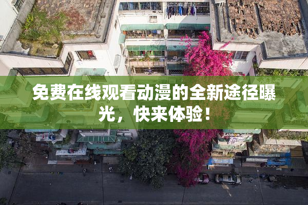 免费在线观看动漫的全新途径曝光，快来体验！
