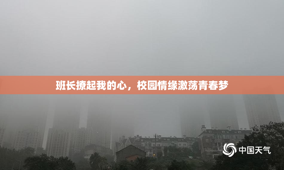 班长撩起我的心，校园情缘激荡青春梦