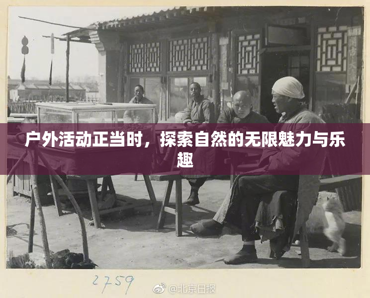 户外活动正当时，探索自然的无限魅力与乐趣