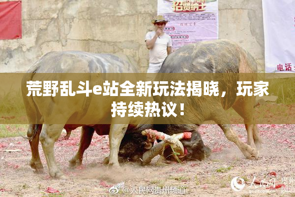 荒野乱斗e站全新玩法揭晓，玩家持续热议！