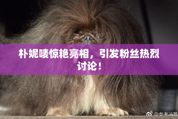朴妮唛惊艳亮相，引发粉丝热烈讨论！