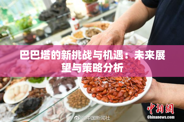 巴巴塔的新挑战与机遇：未来展望与策略分析