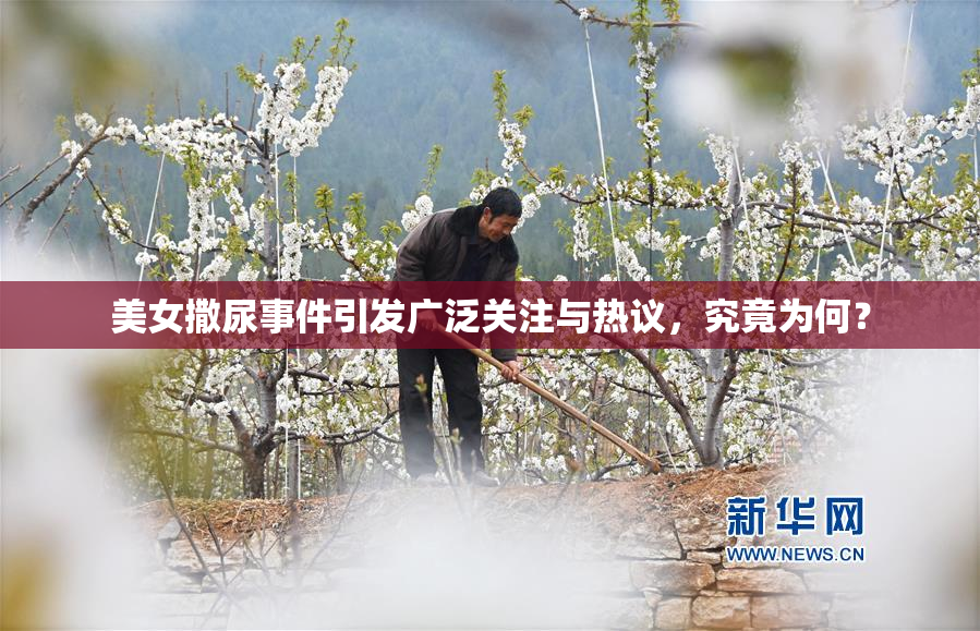美女撒尿事件引发广泛关注与热议，究竟为何？