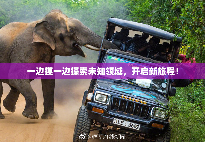 一边摸一边探索未知领域，开启新旅程！