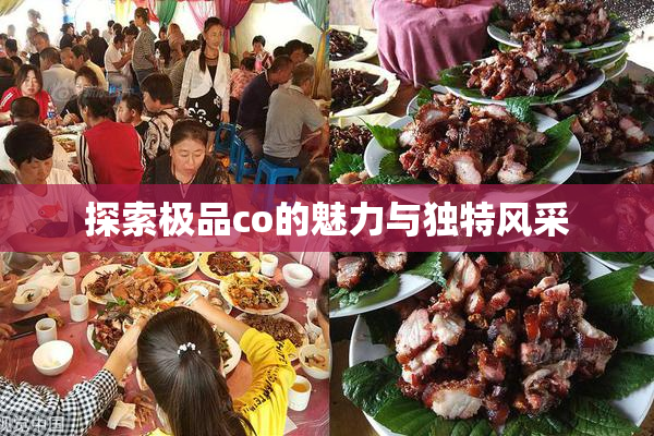 探索极品co的魅力与独特风采