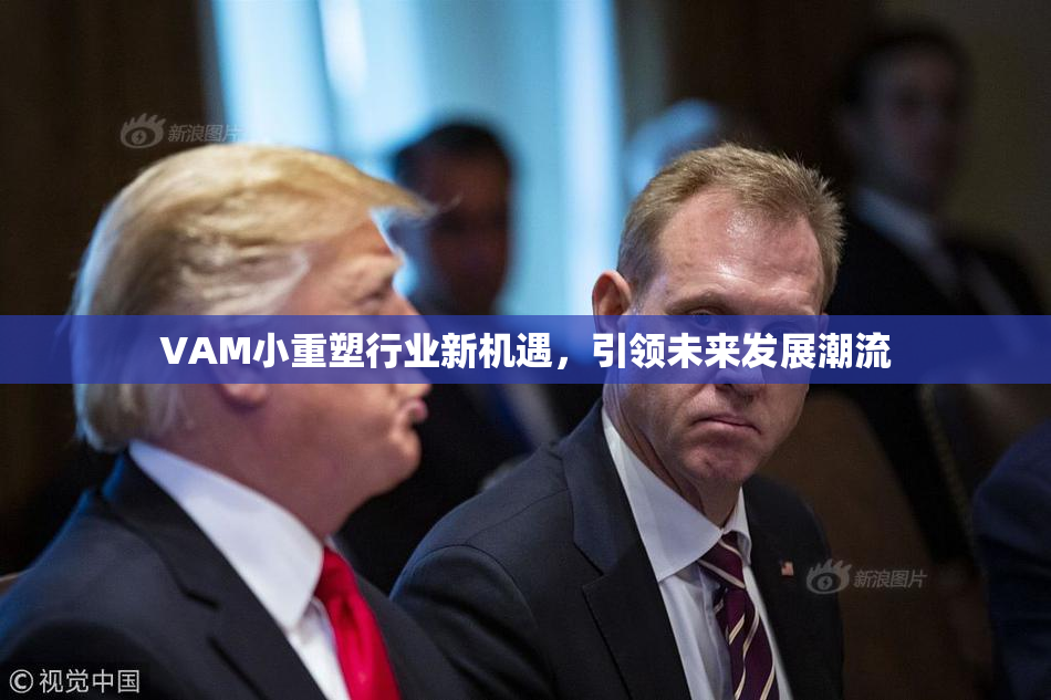 VAM小重塑行业新机遇，引领未来发展潮流