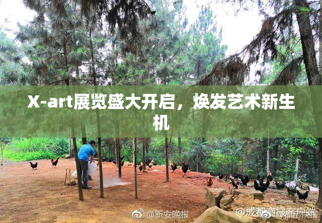 X-art展览盛大开启，焕发艺术新生机