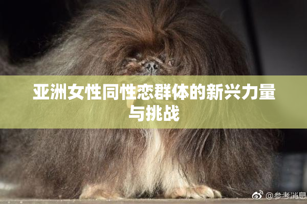 亚洲女性同性恋群体的新兴力量与挑战