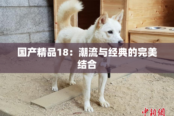 国产精品18：潮流与经典的完美结合