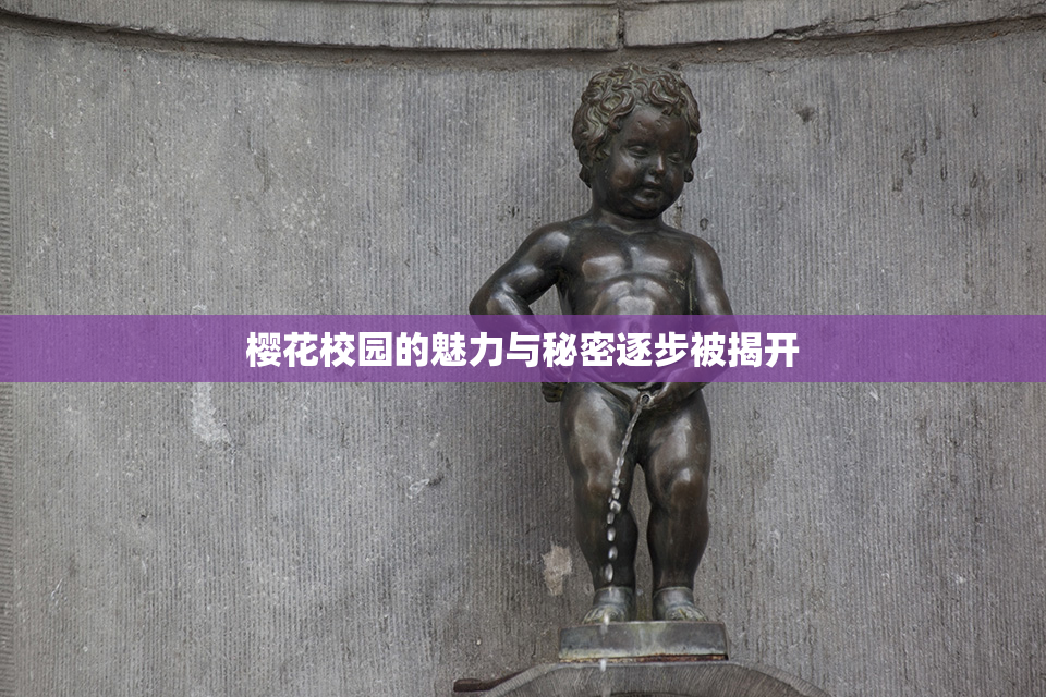 樱花校园的魅力与秘密逐步被揭开