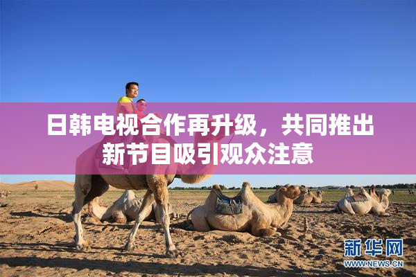 日韩电视合作再升级，共同推出新节目吸引观众注意