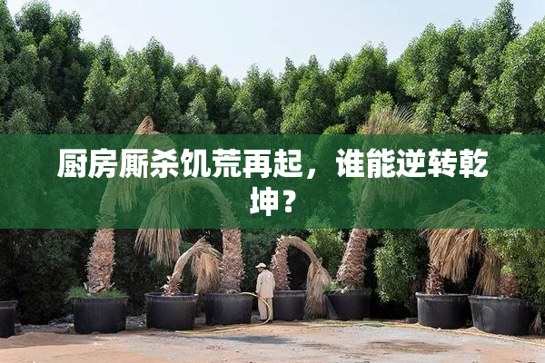 厨房厮杀饥荒再起，谁能逆转乾坤？